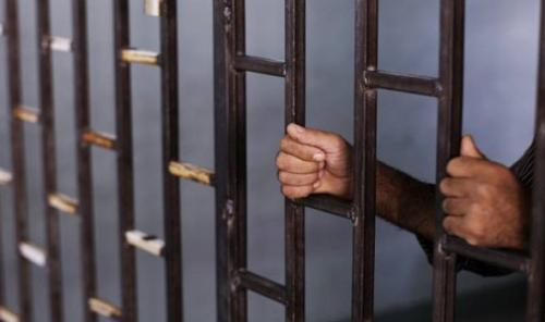 فقرات وفصول من مذكرات الأستاذ محمد عادل فارس: خلية نحل